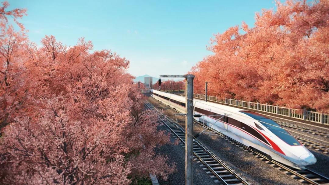 1589004157771476.jpg 1.jpg