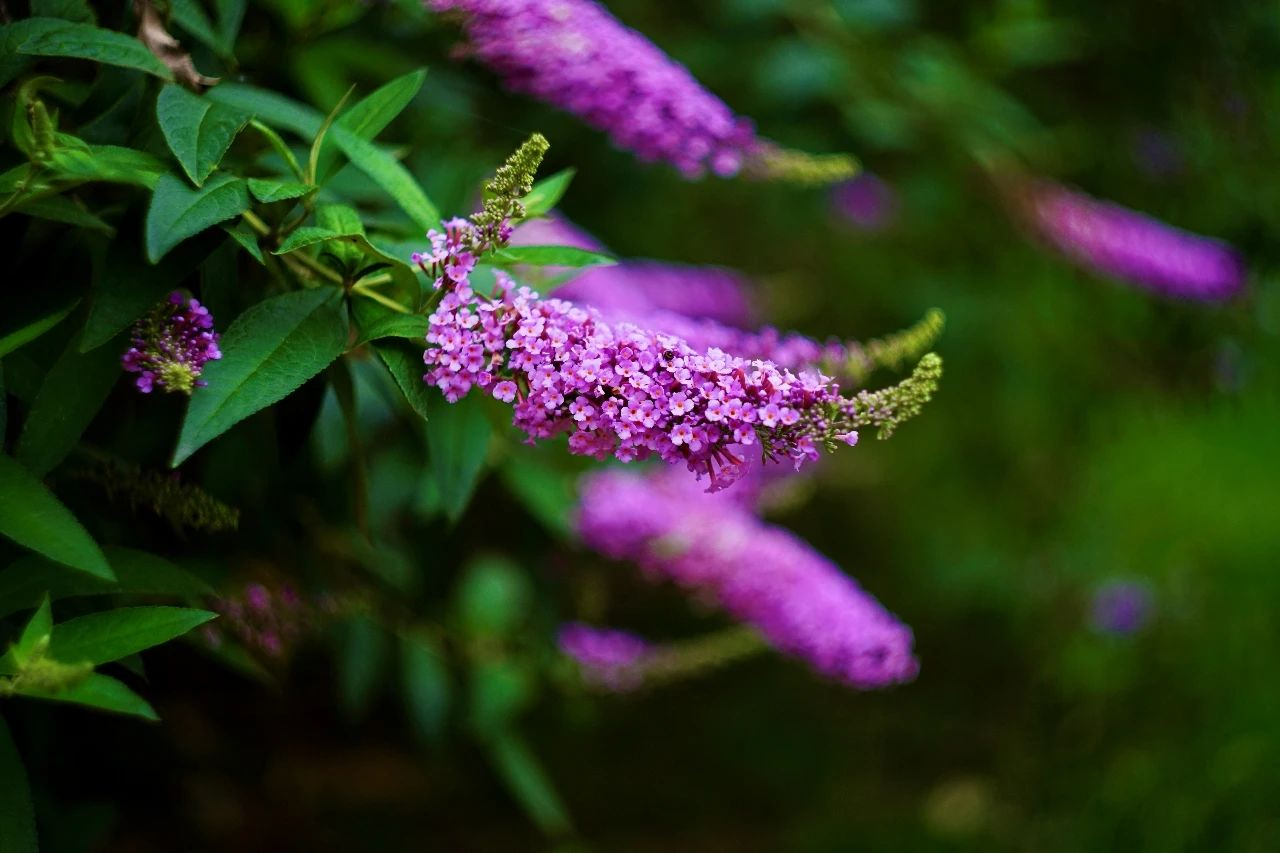 1596076912730805.png image.png