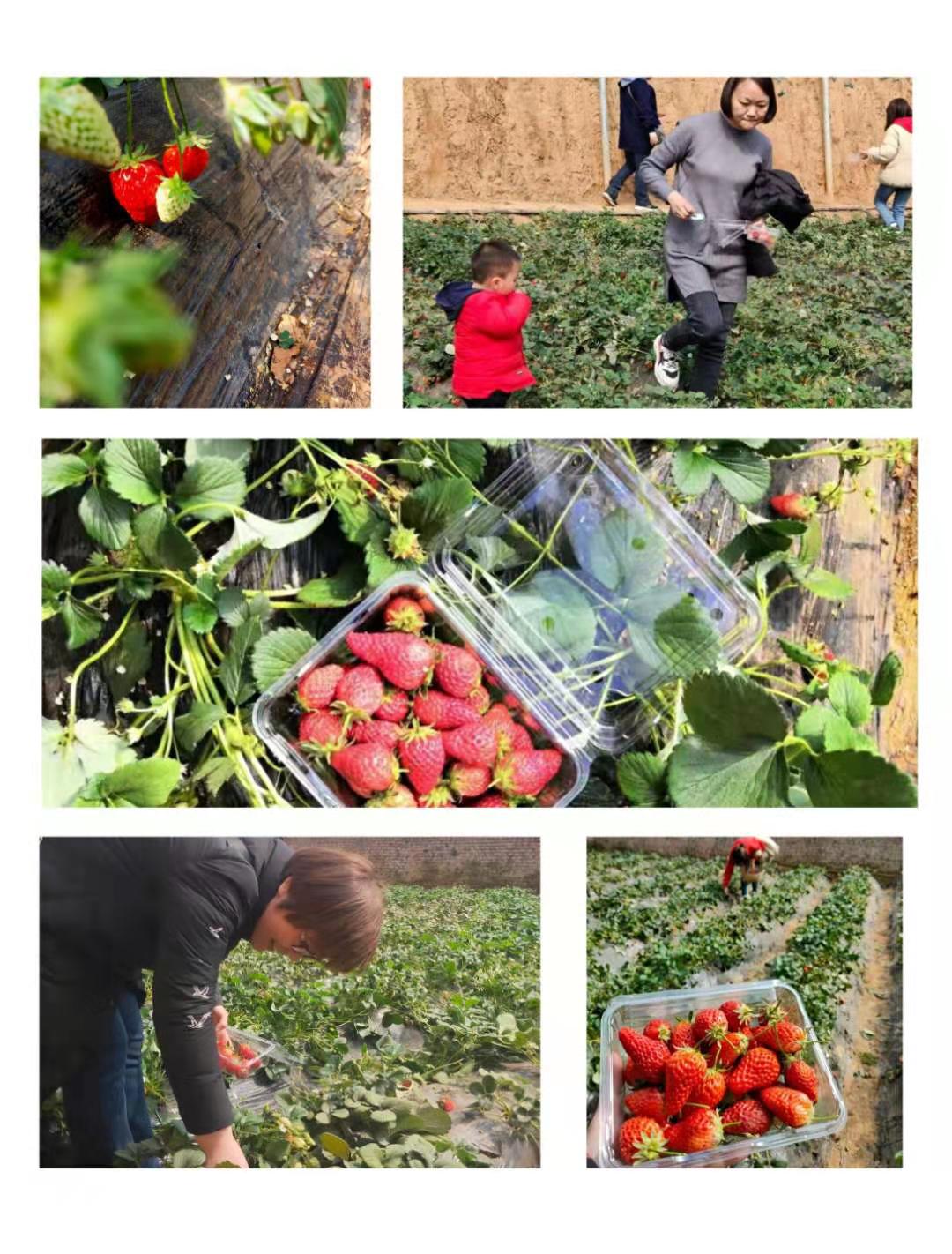 1615280778969216.jpg 3.8.7.jpg