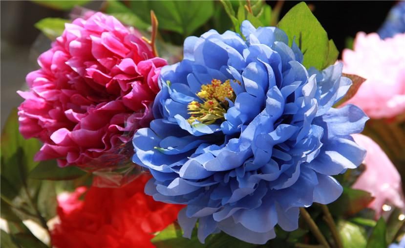 1617176012690953.jpg kkkk.jpg